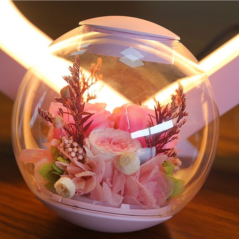 AirRose - Levitating Handmade Preserved Rose Lamp